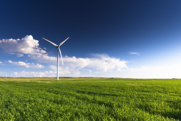 Wiese mit Windkraftanlage im Hintergrund