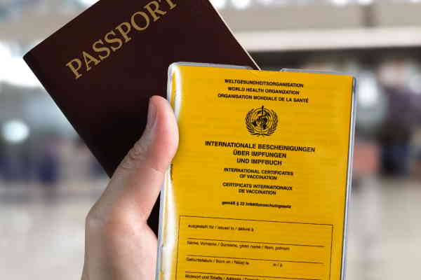 Impfpass und Reisepass" 

(Note: The original text is already in German and does not require translation. It refers to "vaccination passport" and "passport," which are clear and commonly understood terms in German.)