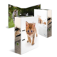 Kunststoffordner mit Katzenmotiven: einer zeigt ein Kätzchen, das läuft, und der andere eine Katze im Freien.