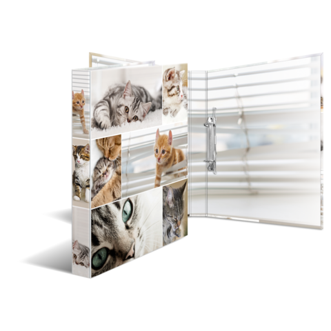 Ein Ordner mit Bildern von verschiedenen Katzen, darunter graue, orange und getigerte Katzen, die in verschiedenen Posen dargestellt sind.