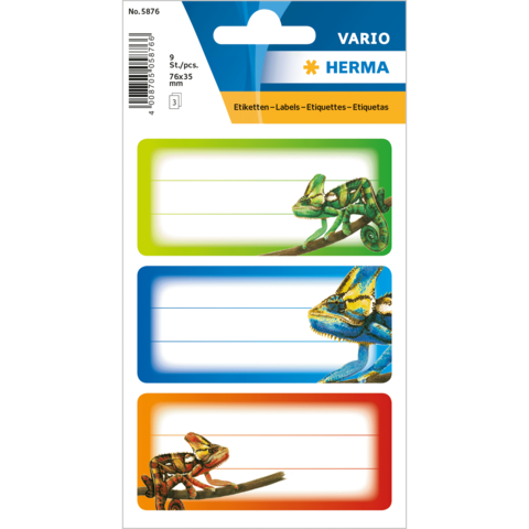 Bunte Etiketten mit Chamäleons in verschiedenen Farben auf einem weißen Hintergrund. Enthält drei Etiketten mit Platz für Beschriftungen.