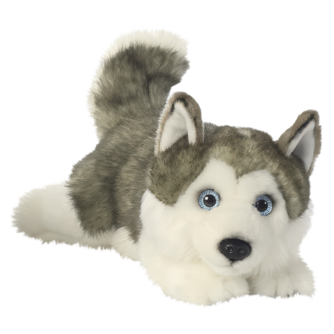 Plüsch-Husky mit grauem und weißem Fell, großen blauen Augen und aufmerksamer Haltung, liegt auf dem Boden.
