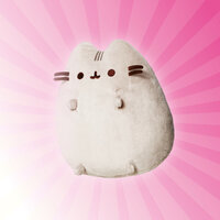 Pinker Strahlenhintergrund mit einem Pusheen-Katzenplüschtier von Aurora.