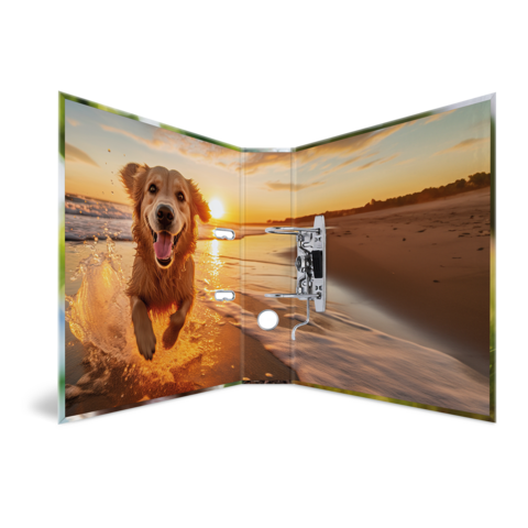 Ein fröhlicher Hund springt ins Wasser, umgeben von einer malerischen Küstenlandschaft bei Sonnenuntergang." 

(Note: The text is already in German and does not require translation. It is clear and fluent as it is.)