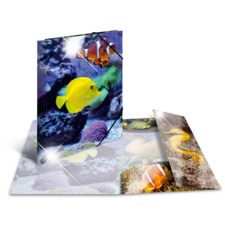 Bunte Fische schwimmen in einem Korallenriff, dargestellt in einem 3D-Effekt mit glitzernden Elementen und mehreren Bildern.