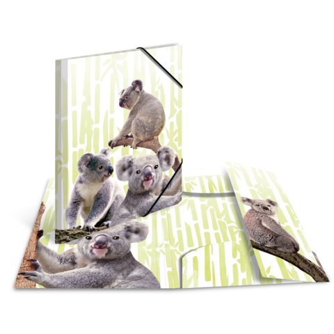 Ein aufgeschlagenes Notizbuch mit mehreren Koalas in verschiedenen Posen, umgeben von einer hellen, grafischen Hintergrundgestaltung.