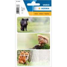 HERMA Schuletiketten