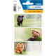 Drei Tieraufkleber: ein Wildschwein, ein Eichhörnchen und zwei Füchse, auf einem weißen Hintergrund mit Platz für Beschriftungen.