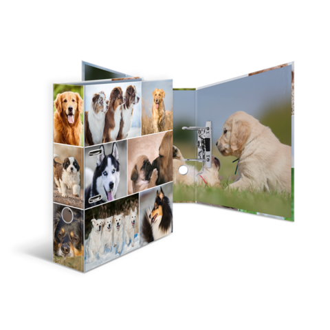 Ein aufklappbarer Ordner mit verschiedenen Hundefotos, darunter Labrador, Husky und andere Rassen, auf den Außenseiten und Innenseiten.