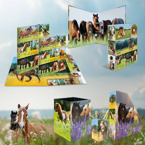Verschiedene Produkte mit Pferdemotiven, darunter ein Faltbuch, ein Stiftehalter und eine dekorative Box, eingebettet in eine natürliche Landschaft.