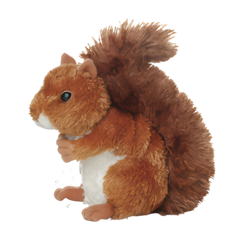 Ein braunes Plüsch-Eichhörnchen mit einem buschigen Schwanz, das aufrecht sitzt und seine Vorderpfoten an den Körper hält.