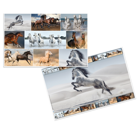 Eine Collage von verschiedenen Pferden in unterschiedlichen Posen und Umgebungen, darunter Galoppieren und Stehen in der Natur.