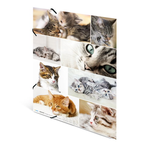 Eine Collage von Katzen, die verschiedene Posen und Gesichtsausdrücke zeigt, darunter schlafende, spielende und neugierige Tiere.