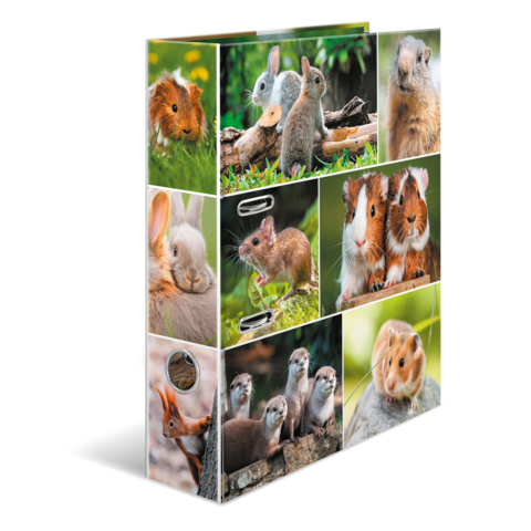 Eine Sammlung von Bildern kleiner Tiere, darunter Meerschweinchen, Kaninchen, und ein Eichhörnchen, die in verschiedenen Posen und Umgebungen dargestellt sind.