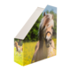 Eine Box mit einem Bild eines Pferdes auf einer Wiese, umgeben von Blumen und einem weiteren Pferd im Hintergrund.
