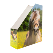 Eine Box mit einem Bild eines Pferdes auf einer Wiese, umgeben von Blumen und einem weiteren Pferd im Hintergrund.