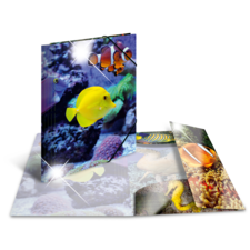 Bunte Fische schwimmen in einem Korallenriff, dargestellt in einem 3D-ähnlichen Pop-up-Buch mit verschiedenen Unterwasserbildern.