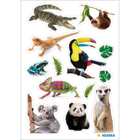 Tieraufkleber mit einem Krokodil, Faultier, Eidechse, Tukan, Chamäleon, Koala, Panda und Erdmännchen, umgeben von Pflanzenmotiven.