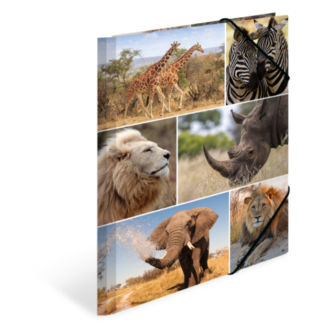 Eine Collage von Tieren in der Savanne, einschließlich Giraffen, Zebras, Löwen, einem Nashorn und einem Elefanten.