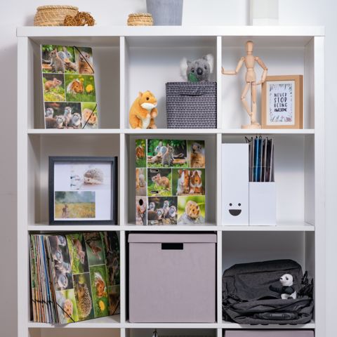 Regal mit verschiedenen Fächern, gefüllt mit Ordnern, Dekofiguren, einem Bilderrahmen und Aufbewahrungsboxen.