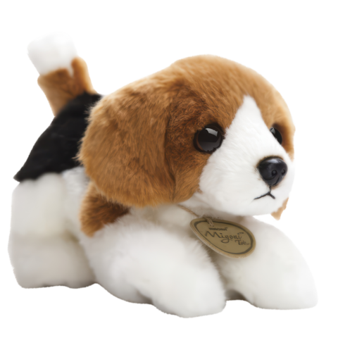 Plüschbeagle mit braunem und schwarzem Fell, auf dem Bauch liegend, mit großen Augen und einem Anhänger.