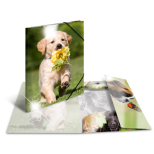 Ein Welpe trägt eine Blume im Mund und läuft fröhlich über eine Wiese. Im Hintergrund sind weitere Bilder von Hunden zu sehen.