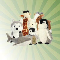 Grüner Strahlenhintergrund mit verschiedenen Plüschfiguren von Aurora