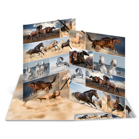 Ein aufgeschlagenes Fotobuch mit Bildern von verschiedenen Pferden, die in unterschiedlichen Posen und Landschaften abgebildet sind.