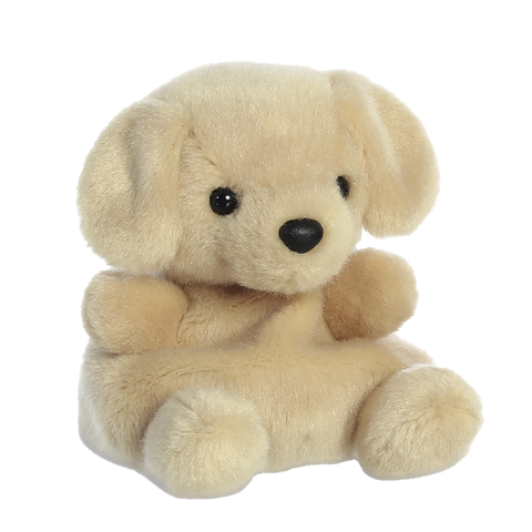 Ein kleiner, plüschiger Hund mit beigem Fell und schwarzen Augen, der in einer sitzenden Position dargestellt ist.