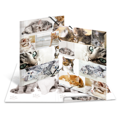 Ein aufgeschlagenes Fotobuch mit verschiedenen Bildern von Katzen, darunter graue, orange und getigerte Kätzchen in verschiedenen Posen.