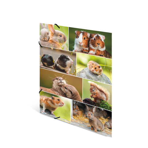 Eine Collage von kleinen Tieren, darunter Kaninchen, Meerschweinchen, Hamster und Eichhörnchen, die in verschiedenen Posen und Umgebungen abgebildet sind.