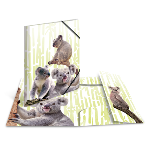 Eine Sammlung von Koalas in verschiedenen Posen, die auf einem Hintergrund mit Bambusmotiven angeordnet sind.