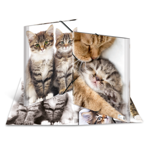 Ein aufklappbares Buch mit Bildern von verschiedenen Katzen, darunter spielende und schlafende Kätzchen in verschiedenen Posen.