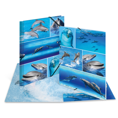 Ein aufklappbares Buch mit verschiedenen Bildern von Delfinen und anderen Meereslebewesen in blauen Wasserumgebungen.