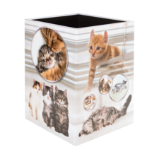Ein quadratischer Behälter mit verschiedenen Katzenmotiven, darunter Bilder von Katzen, die sich umarmen und spielen.