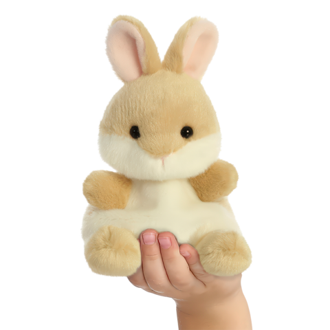 Eine Hand hält ein kuscheliges Kaninchen mit großen Ohren und einem freundlichen Gesichtsausdruck.
