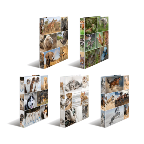 Eine Collage mit verschiedenen Tieren, darunter Löwen, Katzen, Hunde, Füchse und Giraffen, in mehreren Anordnungen.