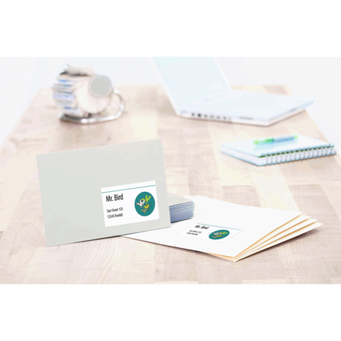 Ein Briefumschlag und eine Karte mit dem Namen "Mr. Bird" und einem grünen Logo auf einem Holztisch, neben einem Laptop und Notizmaterial.