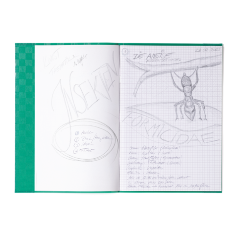 Notizen in einem karierten Heft mit einem Skizze einer Ameise und verschiedenen Stichpunkten zu Themen wie "Ameisen" und "Formicidae".