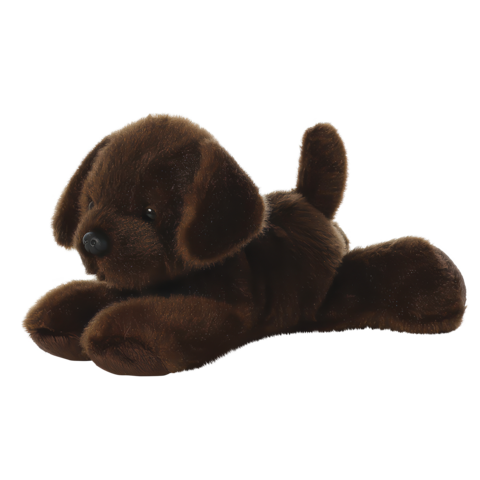 Braunes Plüschhund, der auf dem Bauch liegt, mit einem freundlichen Gesicht und einem aufrechten Schwanz.