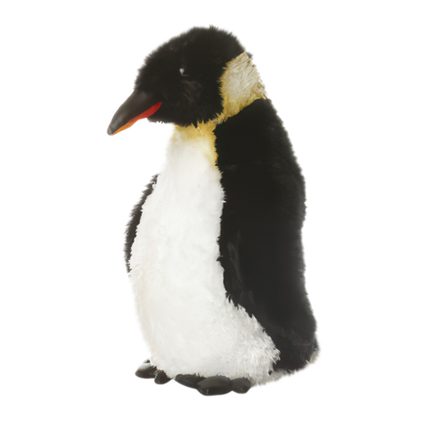 Ein Pinguin mit schwarzem Kopf und weißem Bauch steht aufrecht. Sein Schnabel ist rot und er hat ein gelbes Gefieder am Hals.