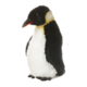 Ein Pinguin mit schwarzem Kopf und weißem Bauch steht aufrecht. Sein Schnabel ist rot und er hat ein gelbes Gefieder am Hals.