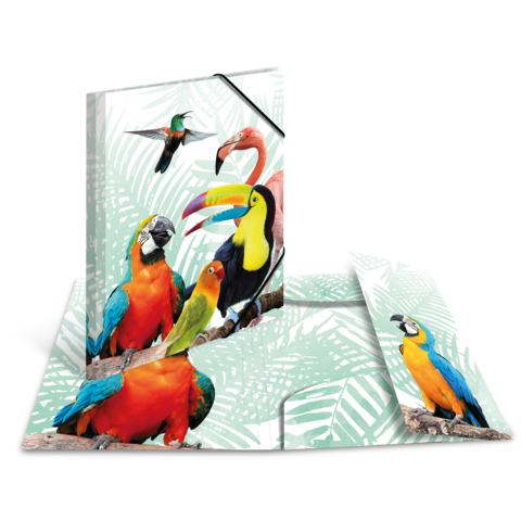 Bunte Papageien und Tukane auf einem hellgrünen Hintergrund mit tropischen Pflanzenmotiven.