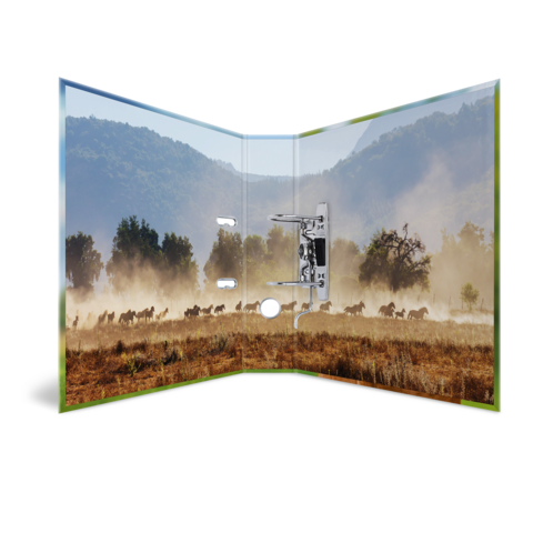 Eine aufgeschlagene Buchseite zeigt eine Landschaft mit einer Herde von Wildtieren, die über eine staubige Ebene in der Nähe von Bergen zieht.