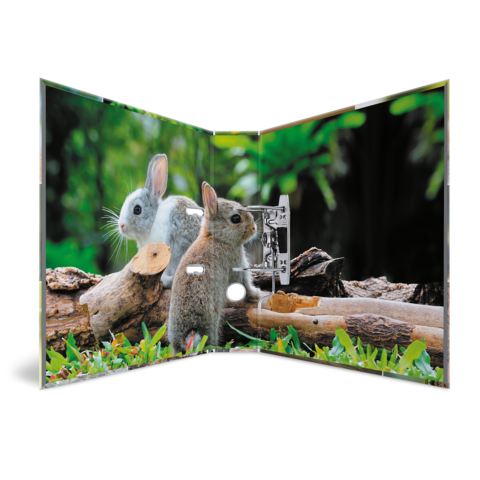 Zwei Kaninchen stehen auf einer Wiese, umgeben von Holzstücken und grünem Gras, mit einem unscharfen Hintergrund aus Bäumen.