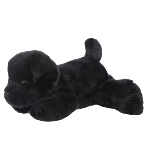 Schwarzer Plüschhund, liegend mit einem freundlichen Gesichtsausdruck und einem geschwungenen Schwanz.