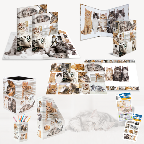 Eine Kollektion von Katzenmotiven auf verschiedenen Büromaterialien, darunter Ordner, Notizblätter und ein Stiftehalter.