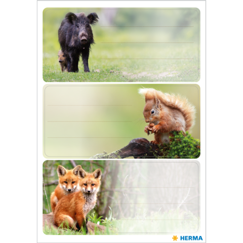 Ein Wildschwein, ein Eichhörnchen und zwei Füchse sind in drei separaten Abschnitten abgebildet, die jeweils in einer natürlichen Umgebung stehen.