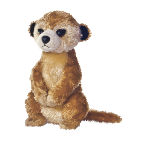 Plüschmanguste sitzt aufrecht mit einem neutralen Ausdruck, die Vorderpfoten auf den Knien.