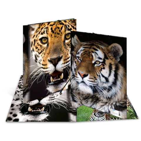 Ein aufklappbares Buch mit Bildern von einem Leoparden und einem Tiger, die beide in Nahaufnahme dargestellt sind.